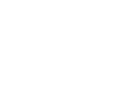 Dental Vision